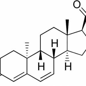 Дидрогестерон - какво е това? Приложение на дидрогестерон