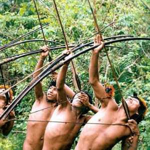 Диви племена на Амазонка. Съвременният живот на амазонските племена