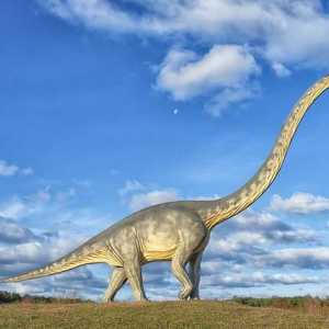 Динозаври с дълъг врат: сортове, описание, местообитание