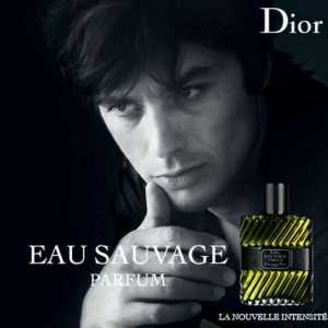 `Dior` (мъжки парфюм): отзиви. Луксозен парфюм за мъже