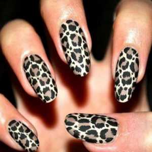 Дизайн на ноктите "Леопард". Майсторски клас и подробности за изпълнението