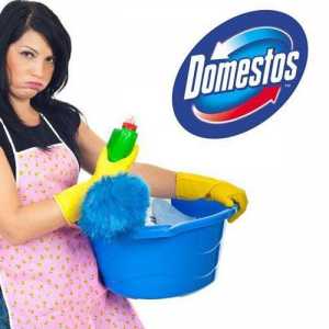 `Domestos`: инструкции за употреба и различни съвети за идеалната чистота в къщата