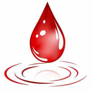 Кръводаряване: полза и вреда. Къде и как да дарявате кръв