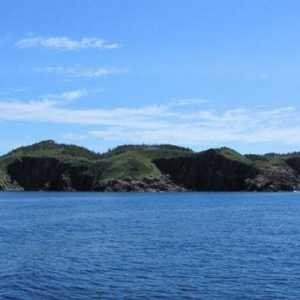 Забележителности на Нюфаундленд: история, климат