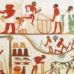 Древен Египет: икономиката, нейните характеристики и развитие