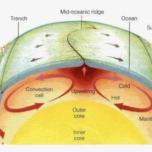 Движение на земната кора: схема и видове