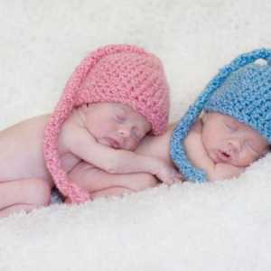Близнаци и близнаци: каква е разликата и е толкова голяма
