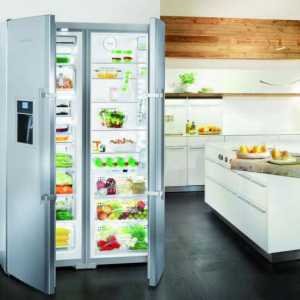 Хладилници с две врати за дома: преглед на най-добрите модели