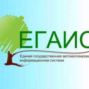 Единна държавна автоматизирана система (EGAIS) "Счетоводство за дървен материал и сделки с…