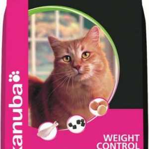 Eukanuba - котешка храна: да направите своя домашен любимец здрав