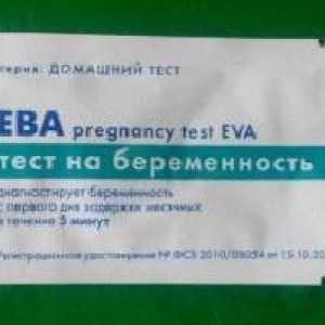 `Ева` - тест за бременност: рецензии, характеристики на приложенията, цени