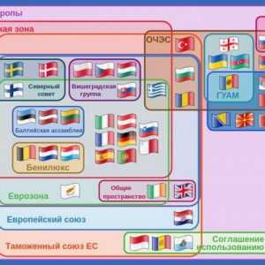 Европейско икономическо пространство: формиране, участници и отношения с Евразийската икономическа…