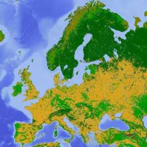 Северен европейски: природни ресурси, климат, географско местоположение