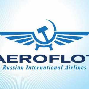 Факти за компанията "Aeroflot". Кой притежава Aeroflot?