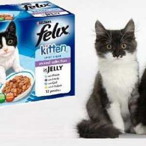 "Феликс" (котешка храна): прегледи на купувачите и ветеринарните лекари