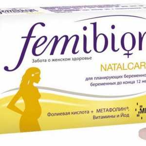 "Femibion ​​-1": състав. "Femibion" за бременни жени: ръководство, рецензии