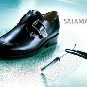Маркирани обувки `Salamander` (Salamander): правилната грижа и обратна връзка с…