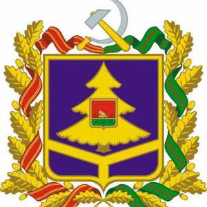 Знаме и герб на региона Брянск. Описание на символите