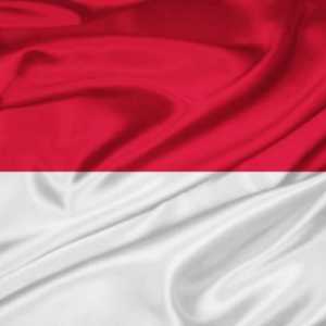 Знаме на Индонезия: вид, значение, история