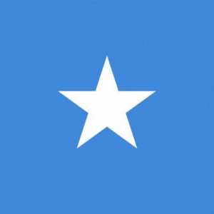 Знаме на Сомалия: история и описание