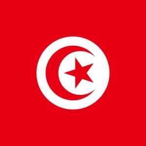 Знамето на Тунис: външен вид и история