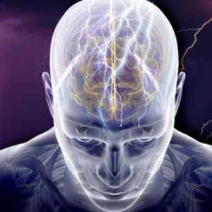 Фокална епилепсия: форми, причини, лечение. Къде се лекува епилепсия в Русия?