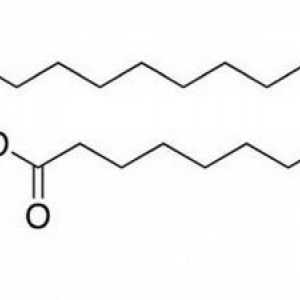 Фосфатидна киселина. Синтез и смисъл в тялото