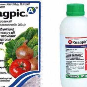 Fungicide `Quadrice`: инструкции за употреба, описание и обнови