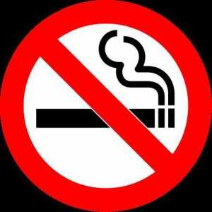 FZ № 15 за забрана на тютюнопушенето с промени и коментари