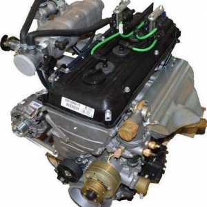 "Gazel-405" (инжектор на двигателя): характеристики, ремонт и работа