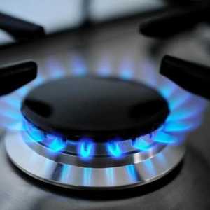 Газова печка е евтина: изборът на модел, описание, рецензии