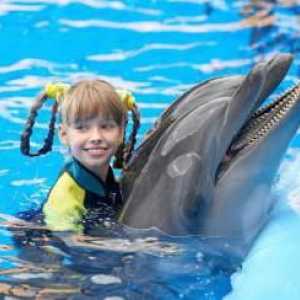 Къде можете да плувате с делфини в Москва?