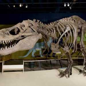 Къде е най-известният музей на динозаврите в света?
