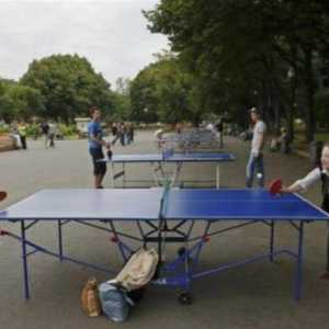 Къде да играете тенис на маса в Москва? Клубове и секции от тенис на маса в Москва