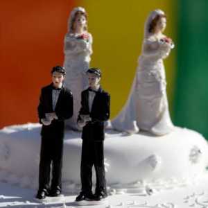 Къде е разрешен гей бракът? Списък на държавите, в които се допускат хомосексуални бракове