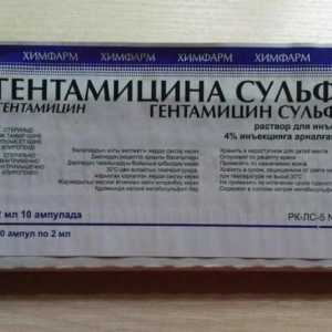 "Гентамицин сулфат": инструкции за употреба, аналози и прегледи