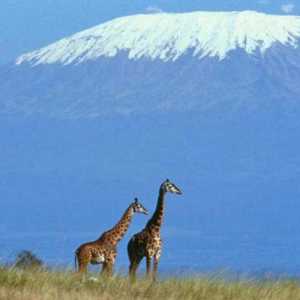 Географски координати на вулкана Килиманджаро и други особености