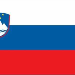 Герб и флаг на Словения