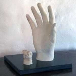 Гипс ръката със собствените си ръце - как да го направя?
