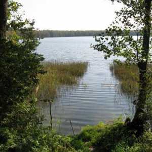 Дълбоко езеро (район Рузски, Московска област): описание, риболов и почивка