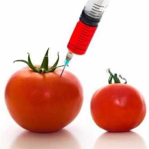 ГМО: препис и опасност