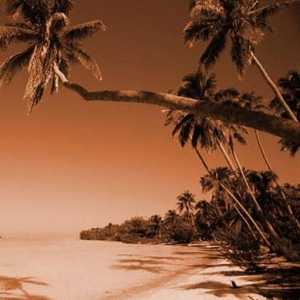 Гоа Север: Плажове в ритъма на реге