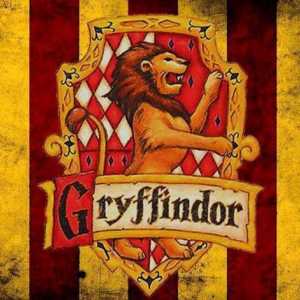 Godric Gryffindor: Историята на един герой
