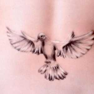 Dove - татуировка, чиято стойност заслужава да се знае
