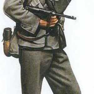 Синята дивизия. 250-та дивизия на испански доброволци
