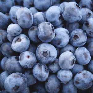 Blueberry Duke: описание на разнообразието и особеностите на отглеждането