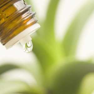 Хомеопатия: прегледи, препарати, плюсове и минуси
