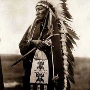 Горд индийци. Перата на орела и тяхното значение в културата на племената