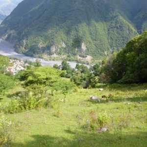 Планинската река и село Аше: почивка, ревюта, атракции