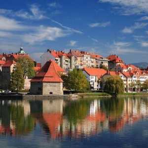 Марибор, Словения: атракции и снимки
